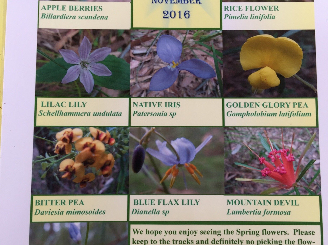Ulladulla Wildflower Reserve景点图片