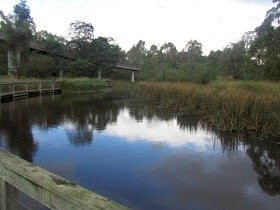 Koonung creek reserve景点图片