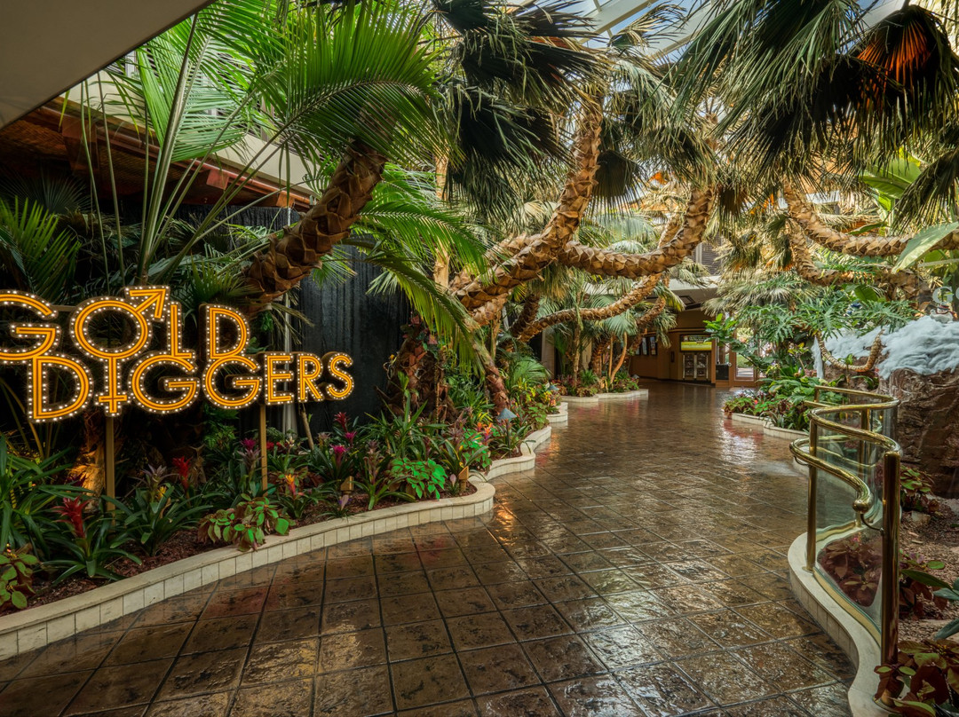 Searchlight酒店住宿-Golden Nugget Laughlin