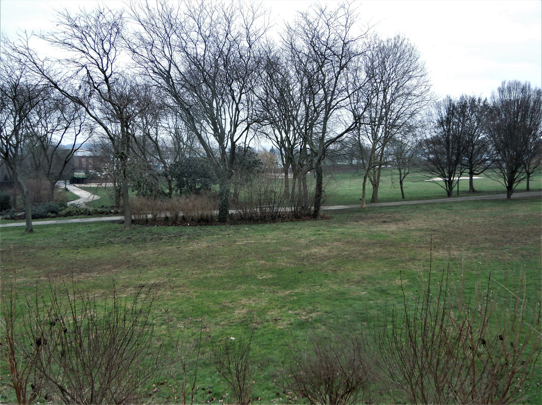 Parc du Plateau景点图片