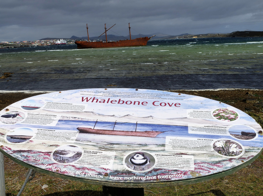 Lady Elizabeth Shipwreck-Stanley必去景点