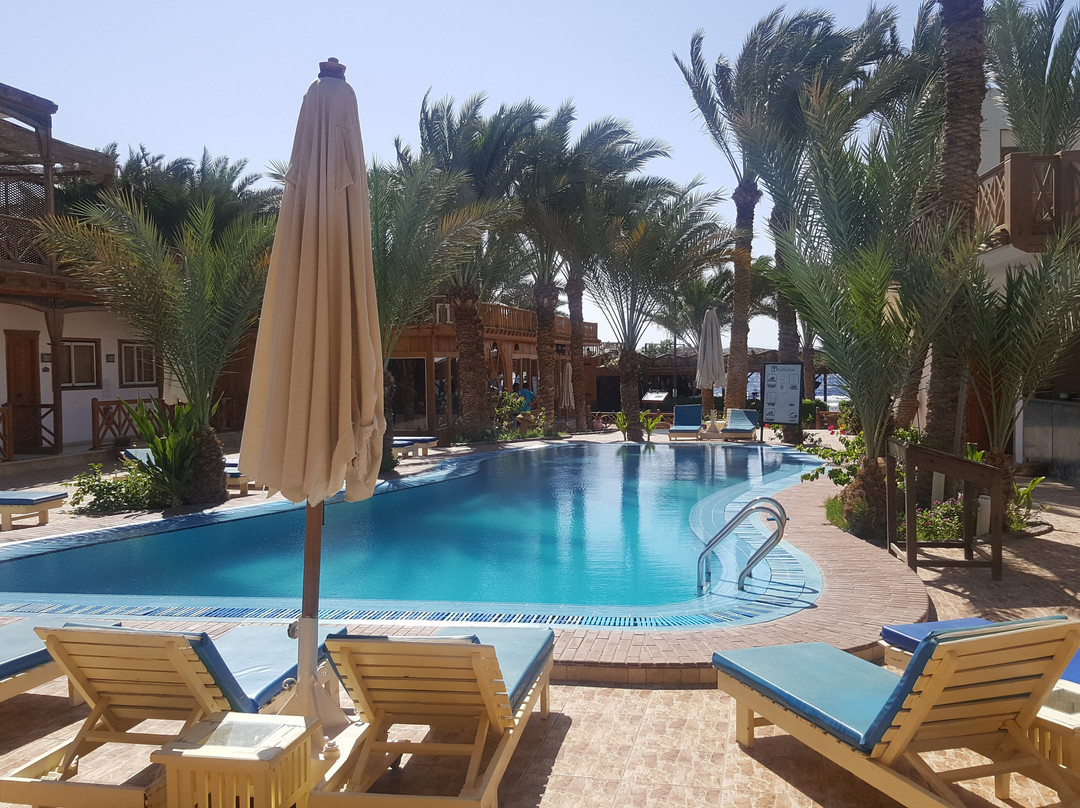 Acacia Dahab Hotel主图