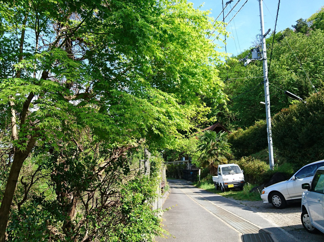 Iwatani Falls Daishoin景点图片