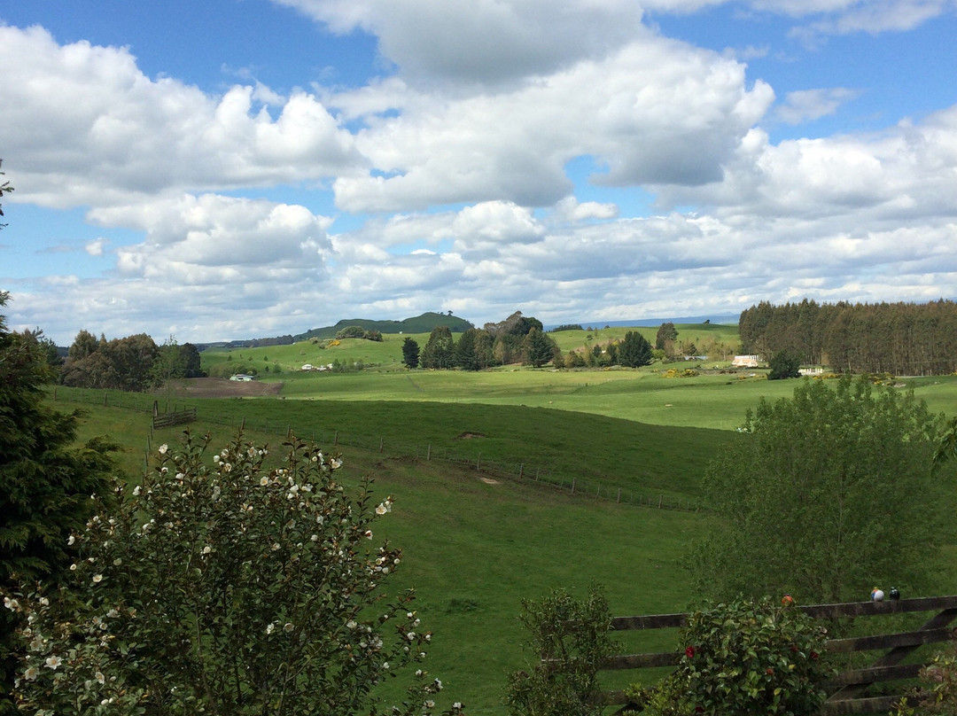 Bellbird Ridge Farmstay B&B主图