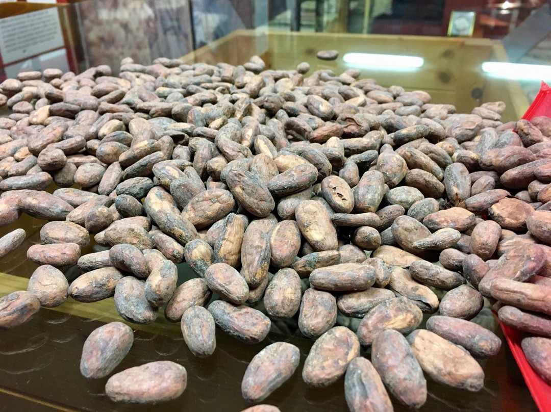 Chocolate Museum-Vicoforte必去景点