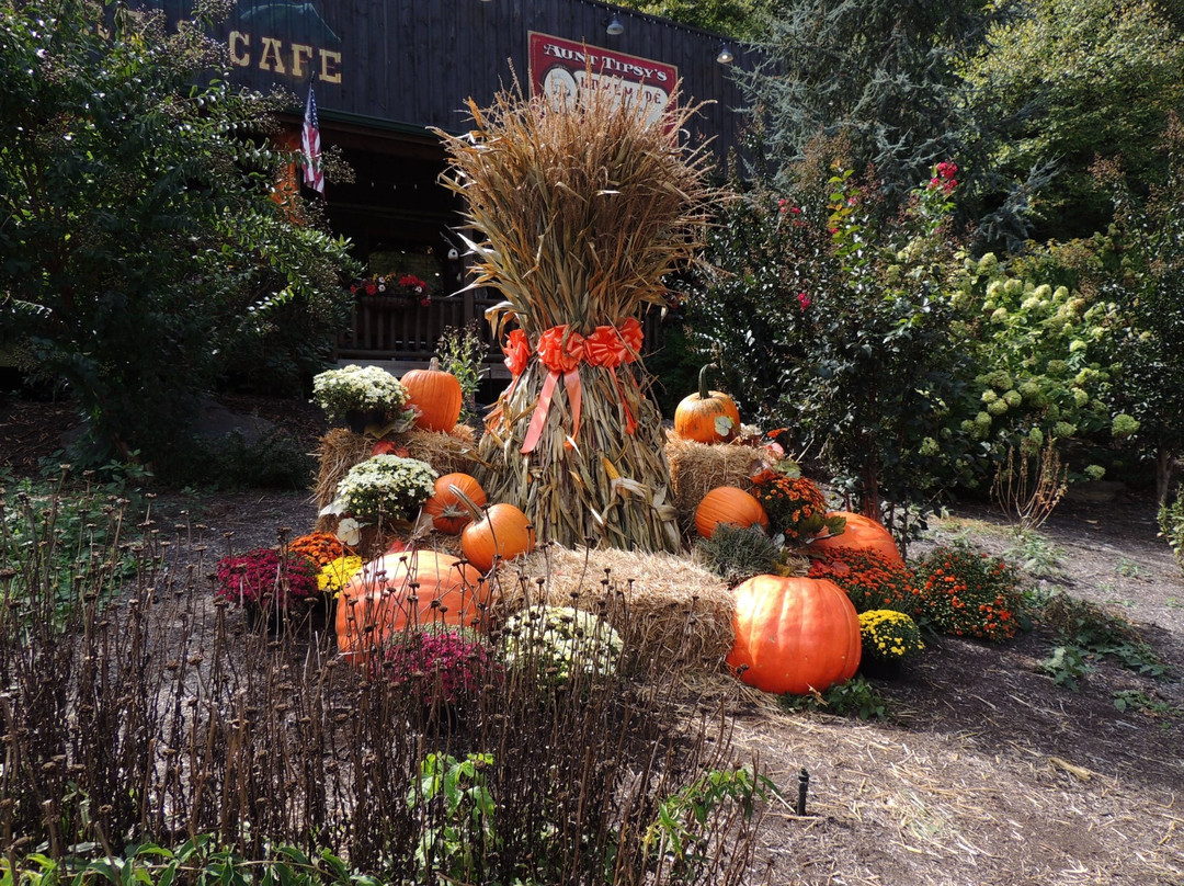 Moonshine Ridge Country Store & Cafe-塞维尔维尔必去景点