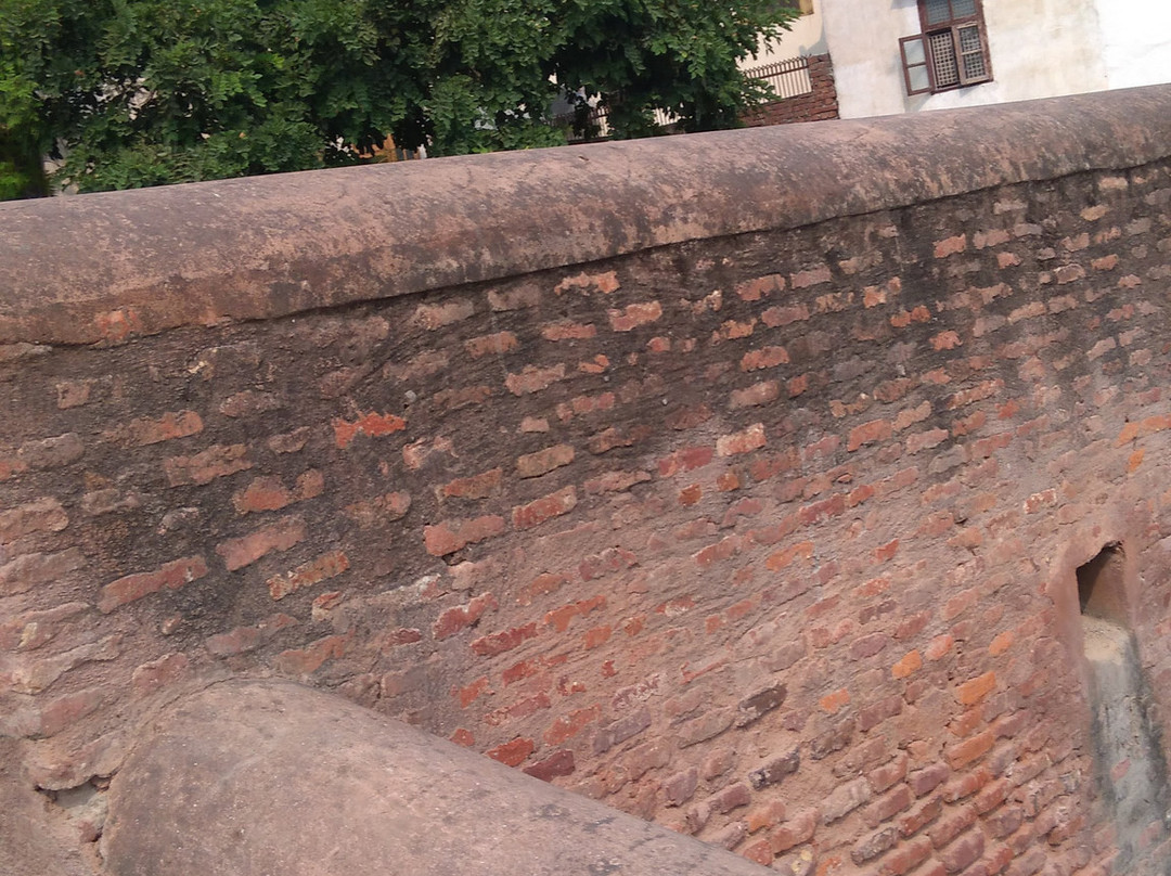 Grave Of Ibrahim Lodhi景点图片