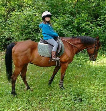 Misty Acres-Ravensdale必去景点