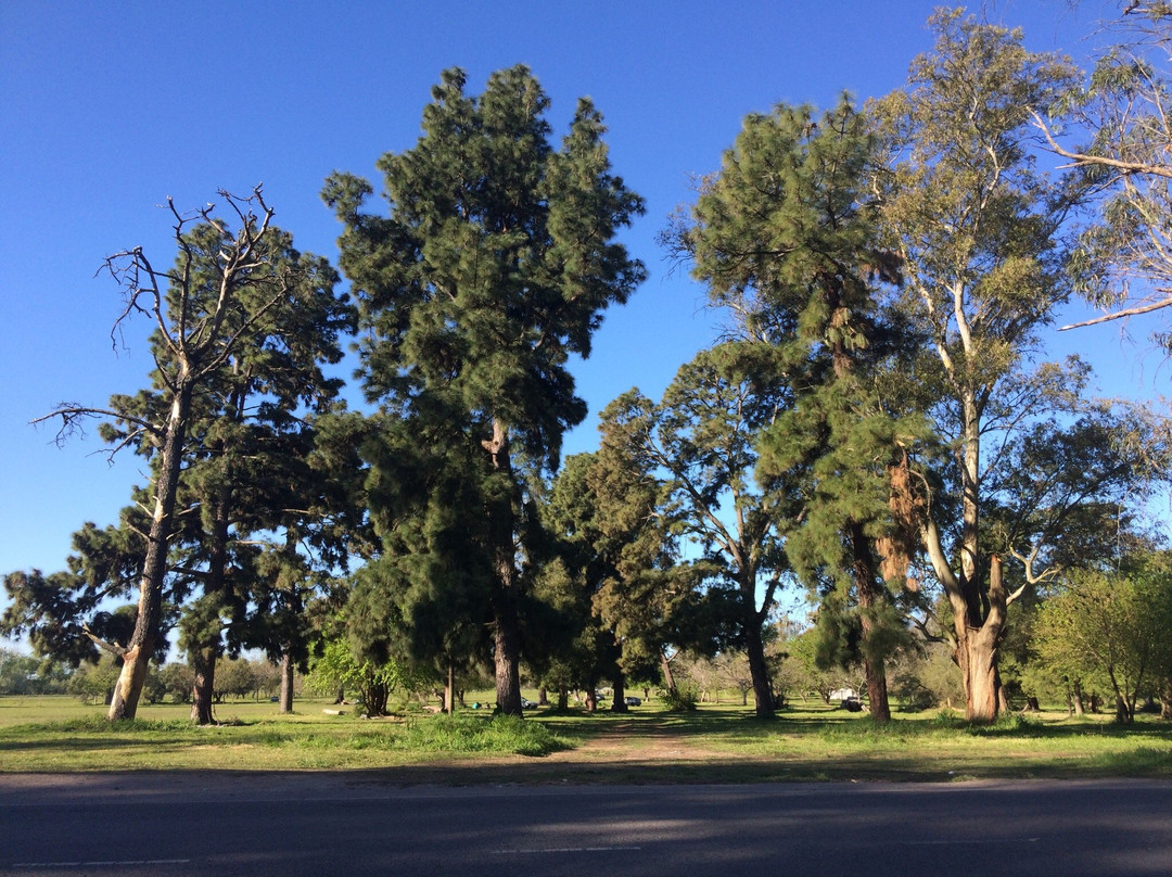 Parque Pereyra Iraola-Berazategui必去景点