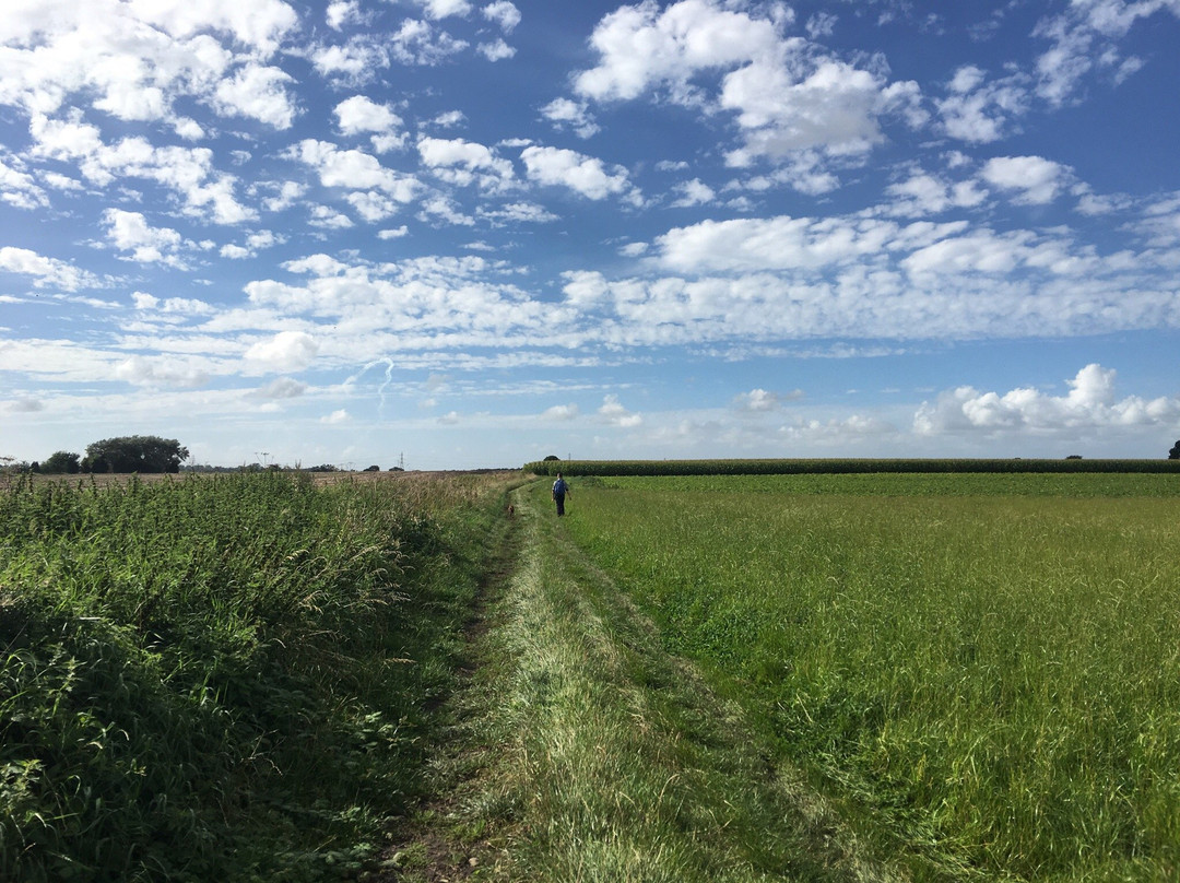 Mawdesley Jubilee Trail景点图片