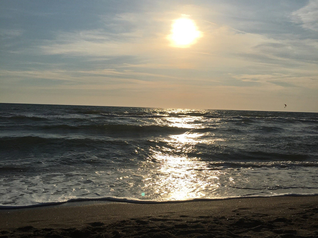 Monte Romano酒店住宿-Casale Fernando