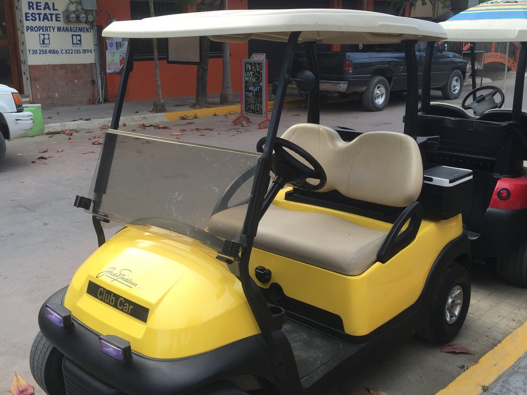 San Pancho Golf Cart Rentals景点图片