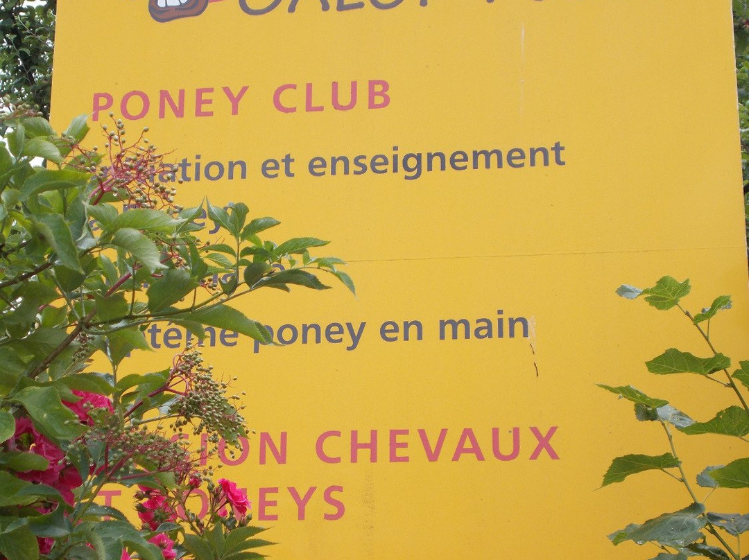 L'Ecurie Muringer-Aspach-le-Bas必去景点