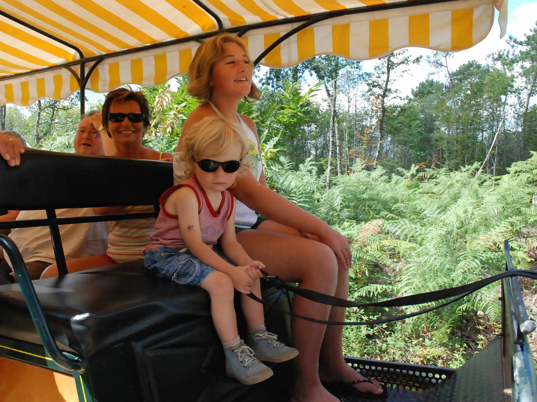 Périgord en Calèche-Mazeyrolles必去景点