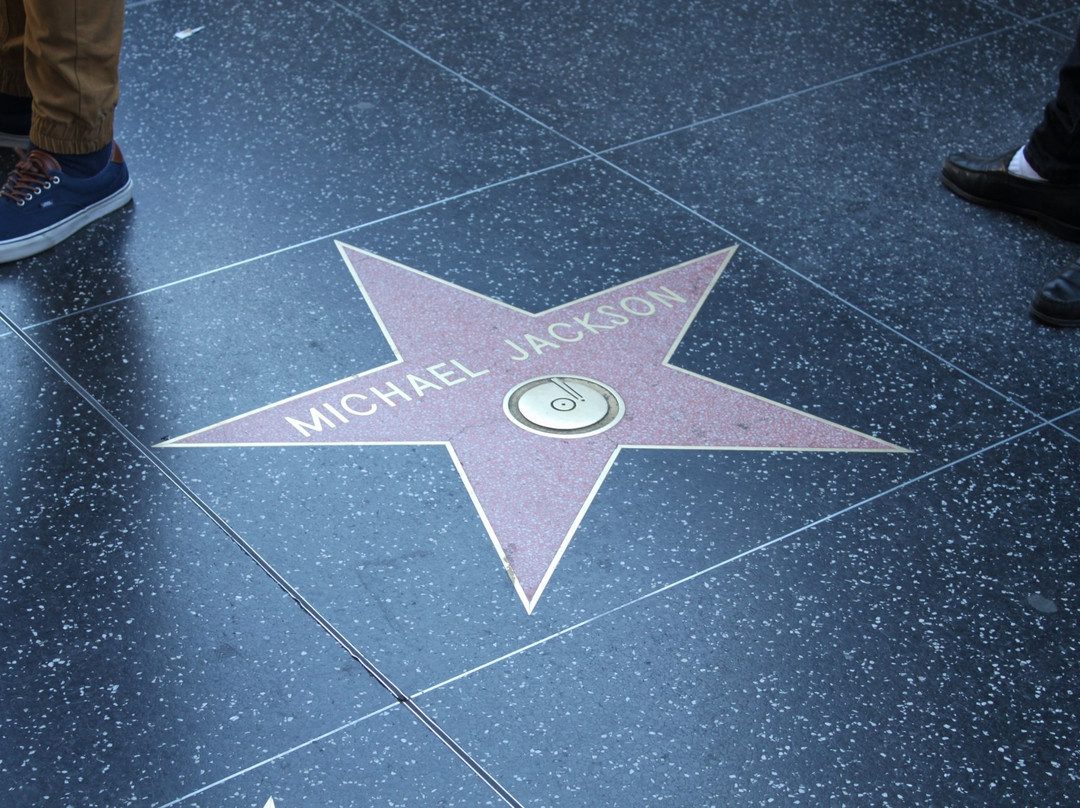 AMG Tours & Coach-阿纳海姆必去景点