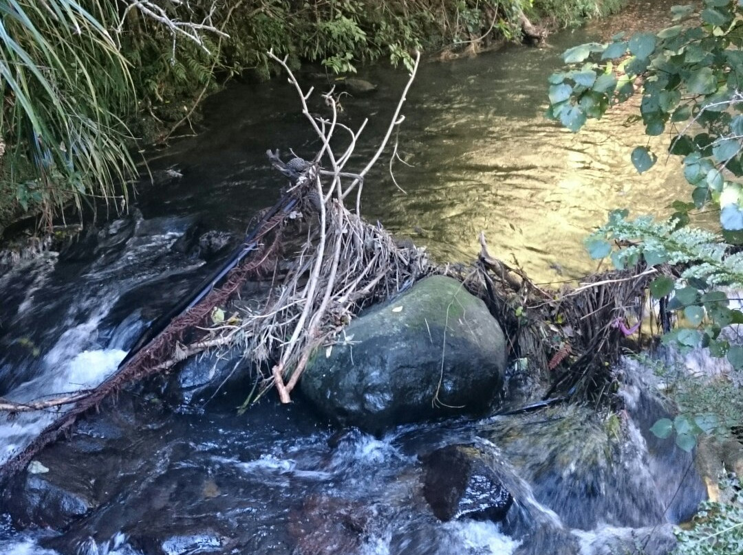 Huatoki Walkway-新普利默斯必去景点
