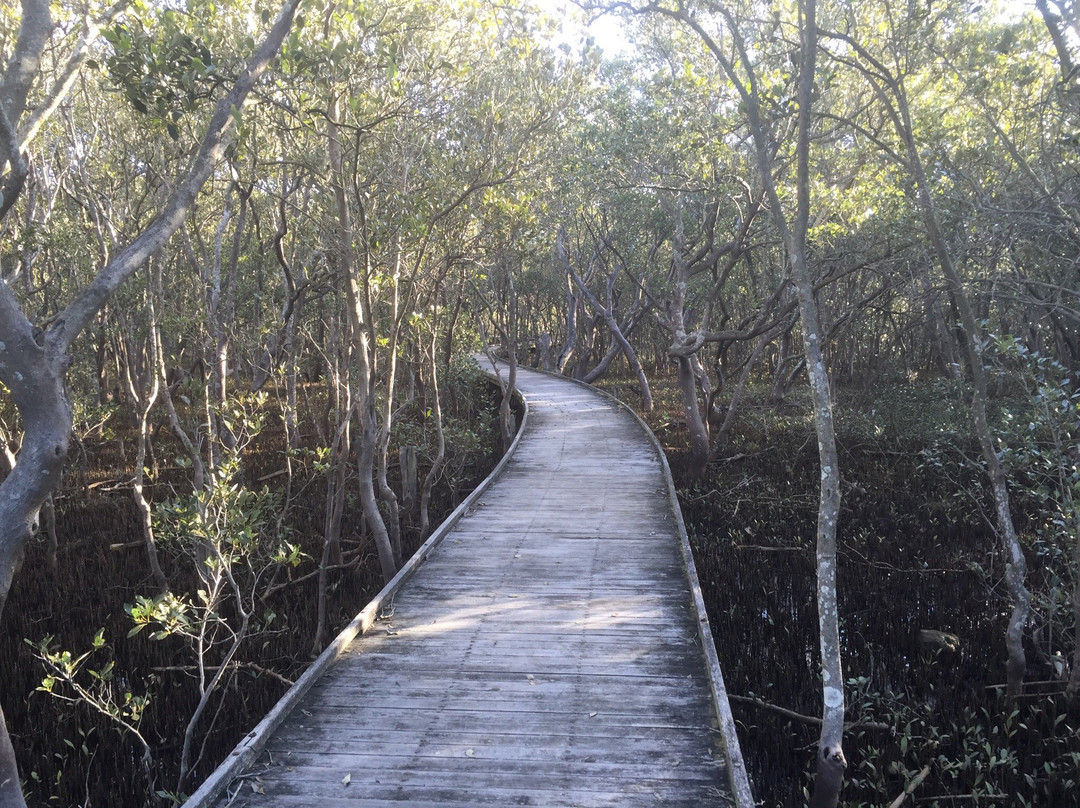 Hunter Wetlands National Park景点图片