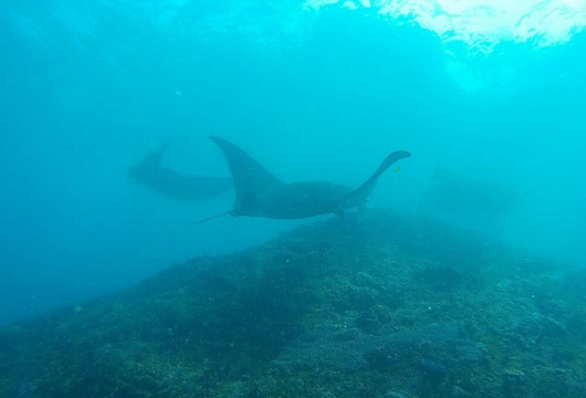 divedivedivebali-沙努尔必去景点