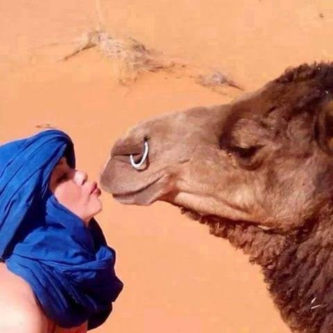 Al Desierto Con Youssef-马拉喀什必去景点