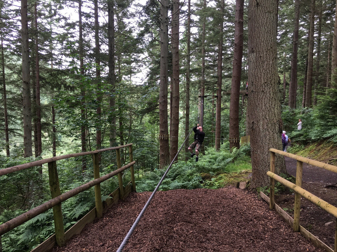 Go Ape Glentress Forest, Peebles-皮布尔斯必去景点