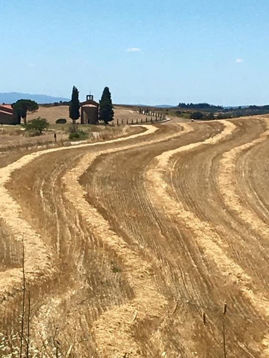 Taxi Driver In Tuscany-蒙泰瓦尔基必去景点