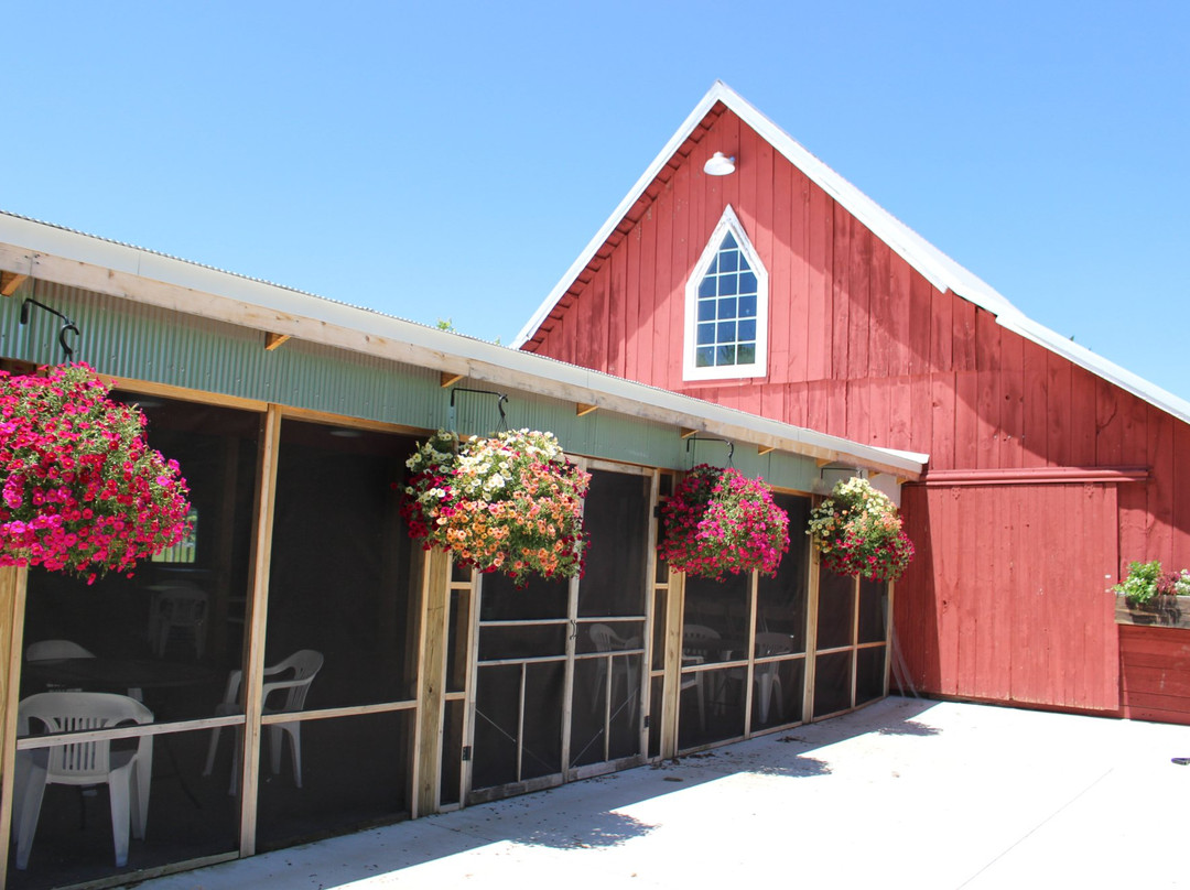 Summer Breeze Barn Venue景点图片