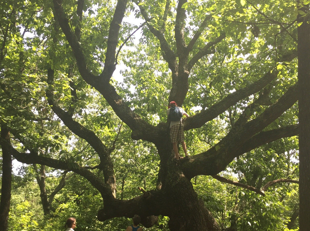 Pine Mountain Recreation Area-Cartersville必去景点