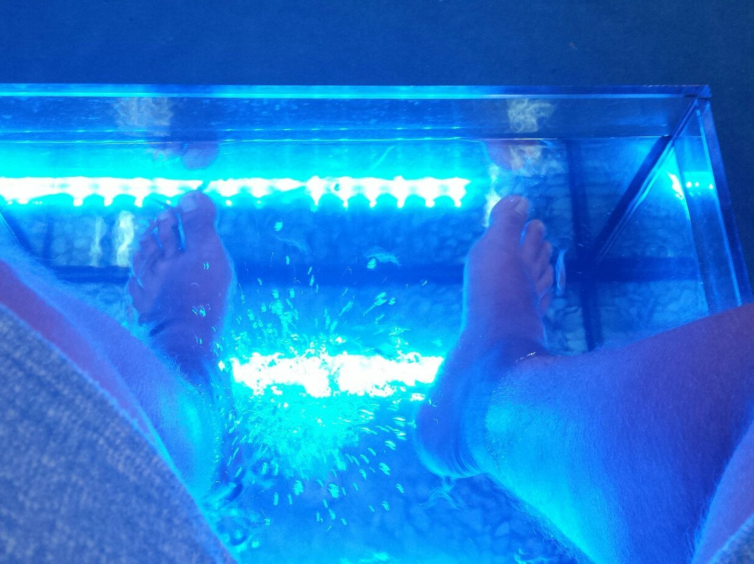 Magia Fish Spa-罗德城必去景点
