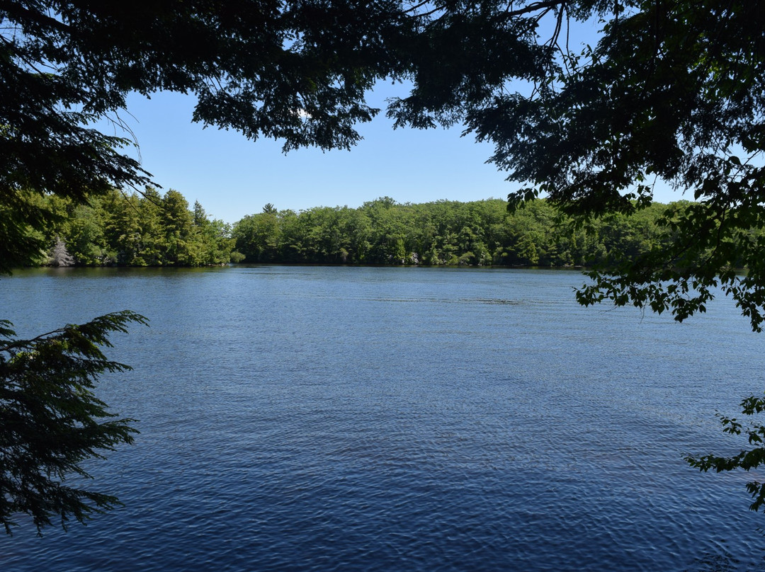 Lakeside Estates Bed & Breakfast主图