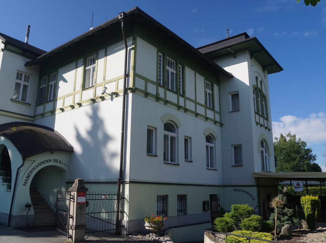 Nova Hradecna酒店住宿-Pension Habermannova Vila