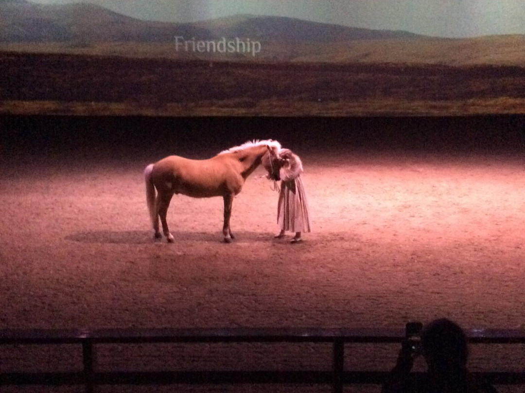 America 2 Iceland-博尔加内斯必去景点