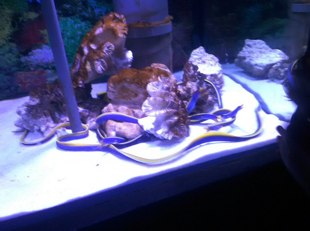 合肥汉海极地海洋世界-合肥市必去景点