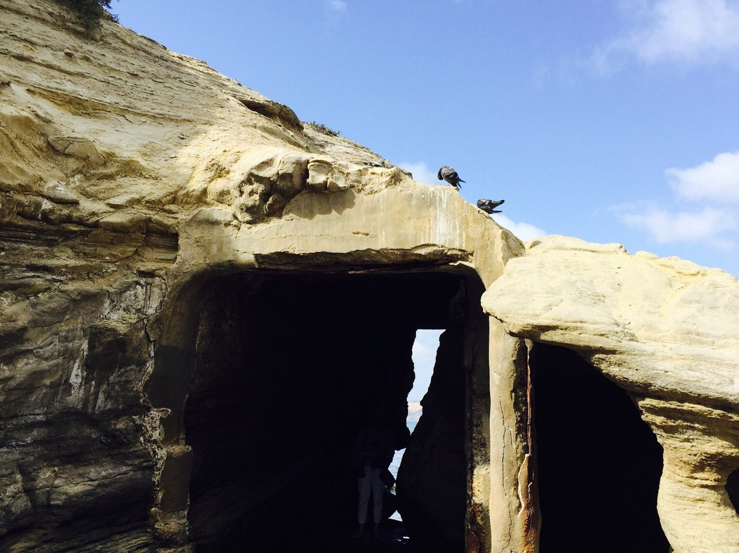 La Jolla Underwater Park-拉荷亚必去景点
