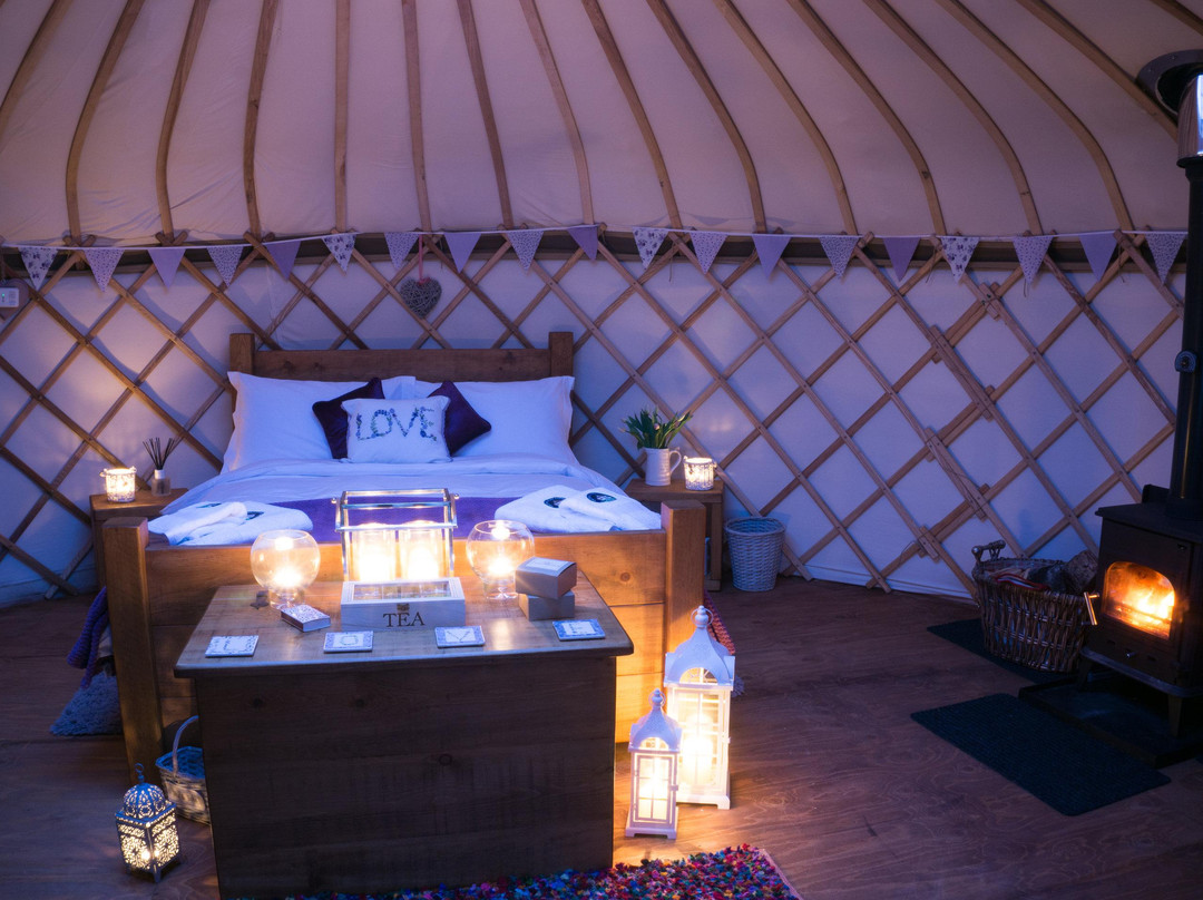 Calwich Under Canvas