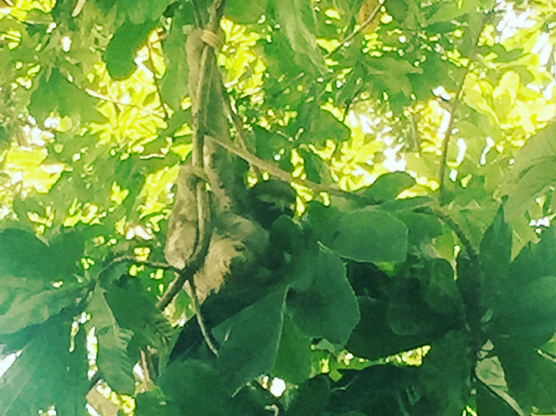 Jardin Botanico Eloy Valenzuela-Floridablanca必去景点