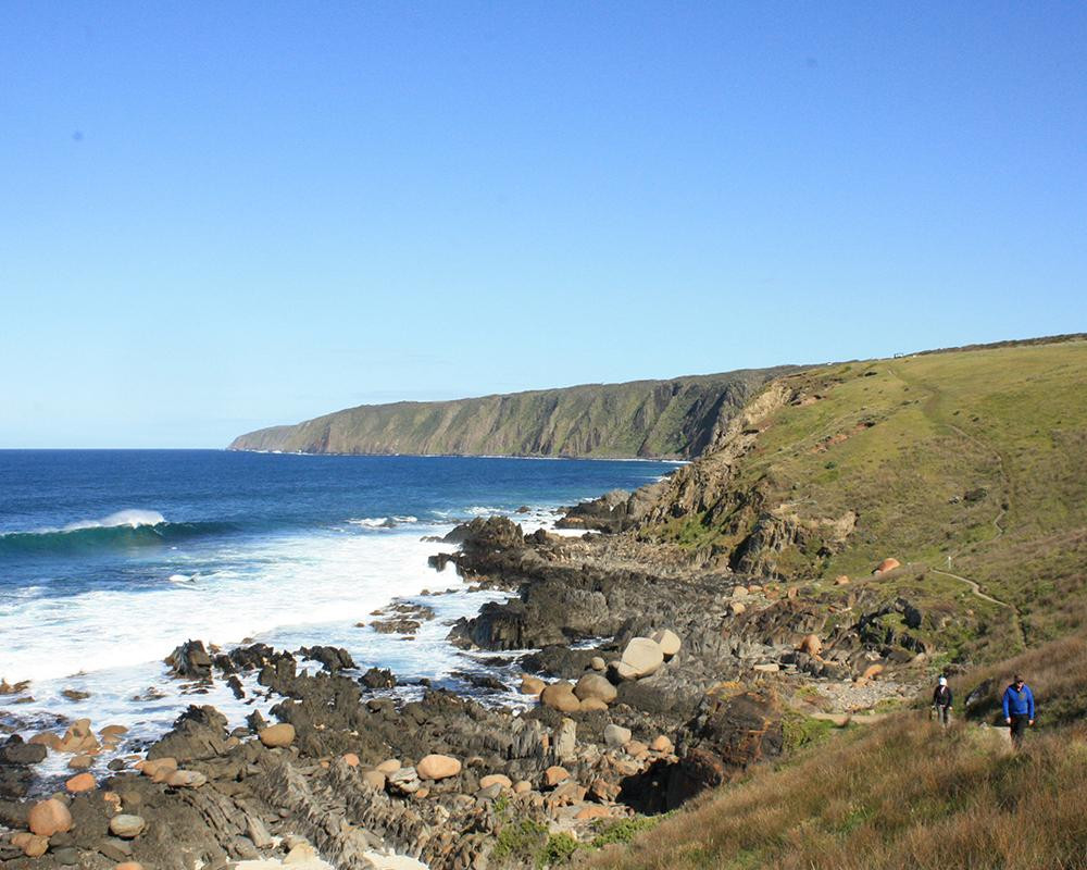 Spirit of the Fleurieu Tours景点图片