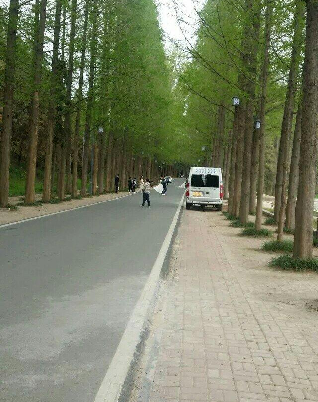 铜山湖-泌阳县必去景点