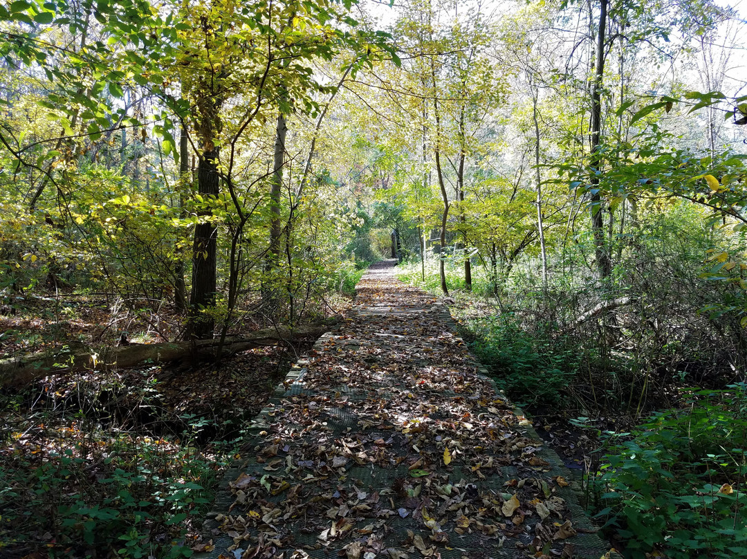 Ashland Nature Center-Hockessin必去景点
