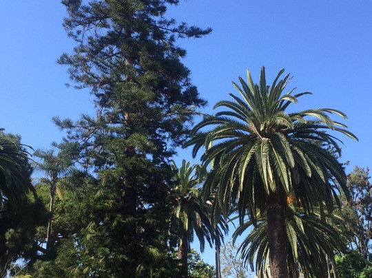 Spreckels Park-科罗纳多必去景点