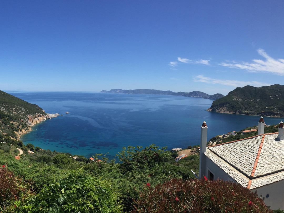 Skopelos Town旅游攻略图片