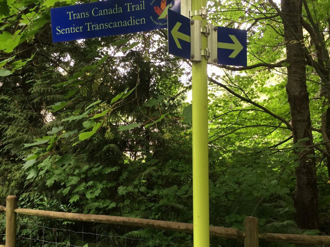 Mosquito Creek Hiking Trail-北温哥华必去景点