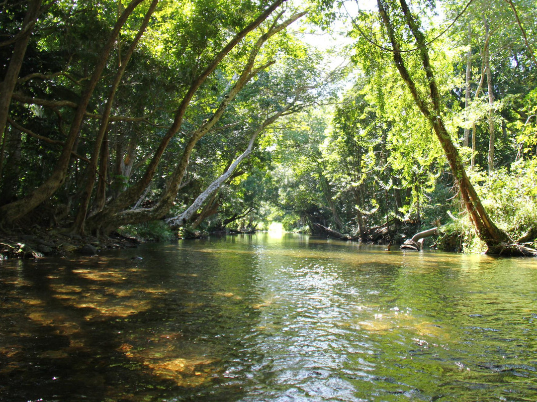 Mount-N-Ride Adventures-凯恩斯必去景点