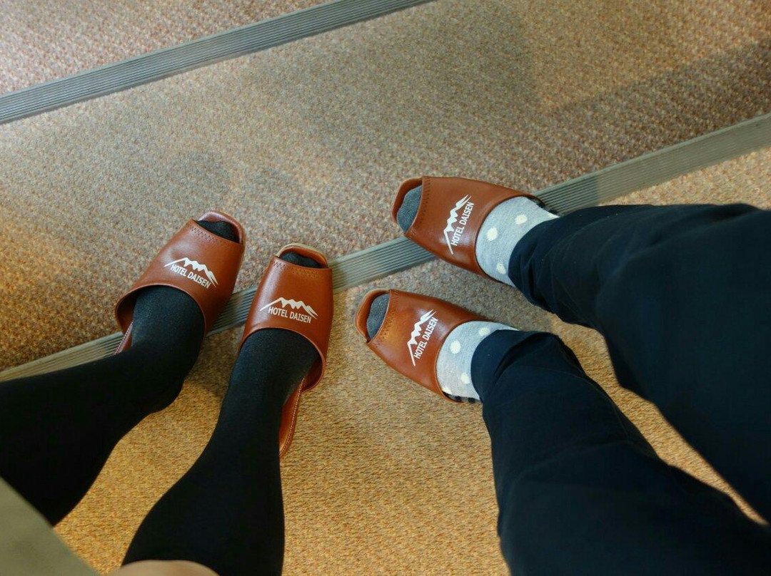 Hotel Daisen主图