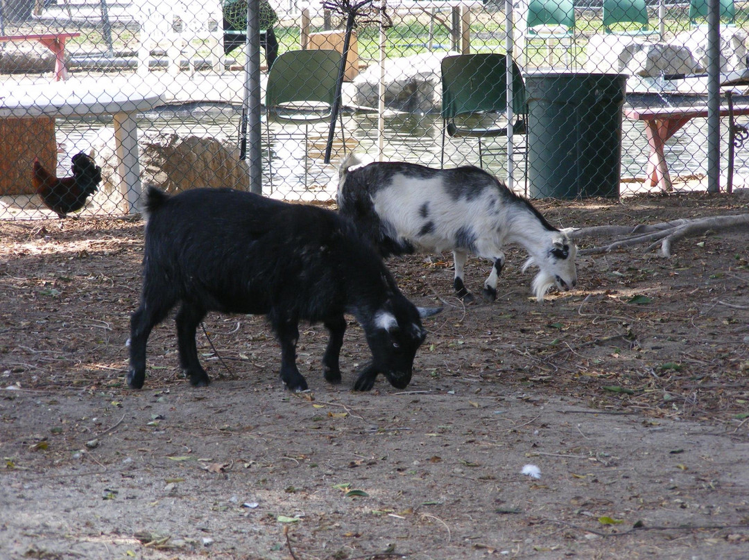 Santa Ana River Lakes-阿纳海姆必去景点