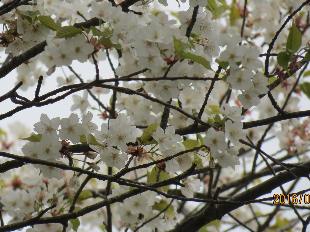 Mt. Kanetsukido-寄居町必去景点