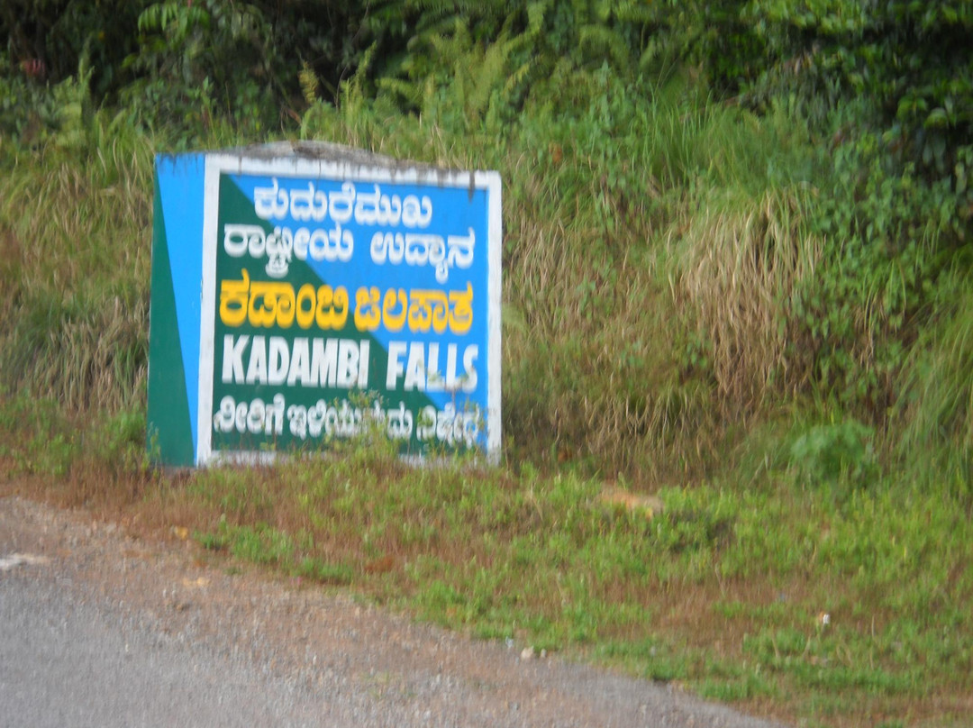 Kadambi Falls景点图片