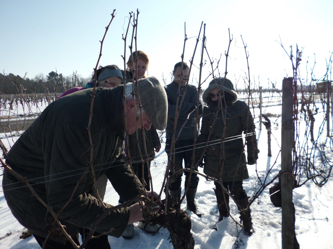 Les Ateliers de Bacchus-波尔多必去景点
