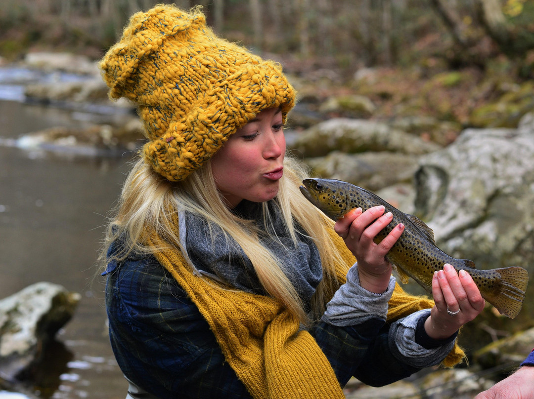 Noon Day Fly Fishing and Photography-罗宾斯维尔必去景点