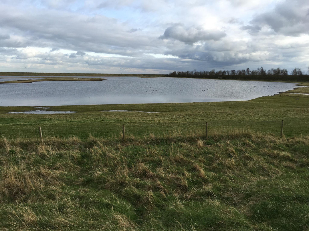 RSPB Freiston Shore-Freiston必去景点