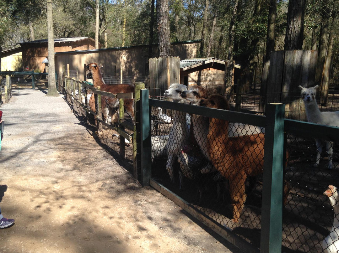 Cottageville旅游攻略图片